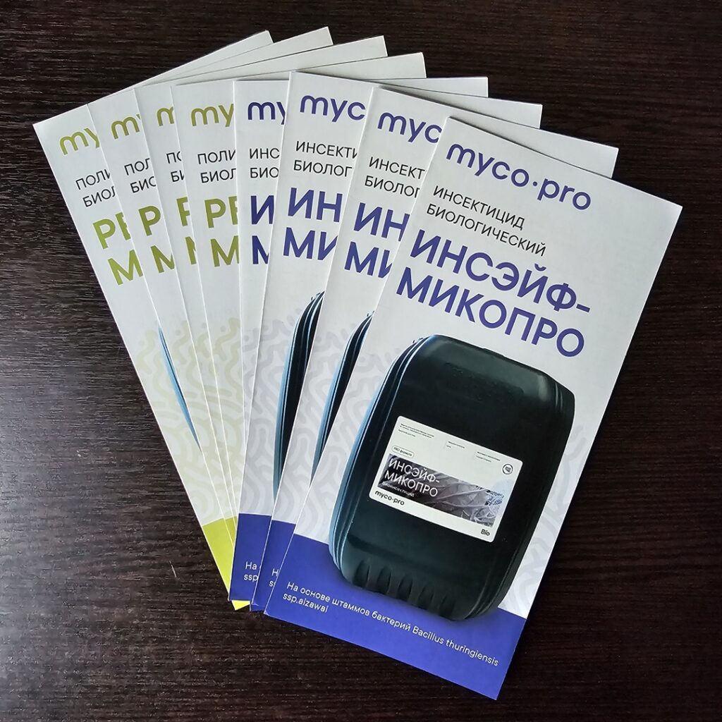 Фото брошюры из портфолио