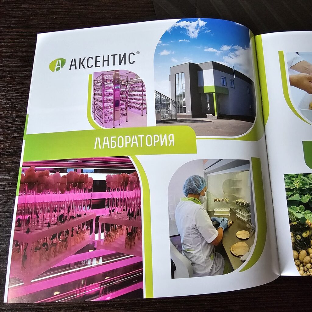 Фото брошюры из портфолио