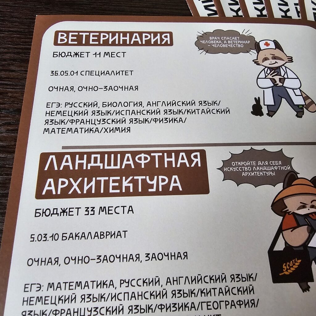 Фото брошюры из портфолио