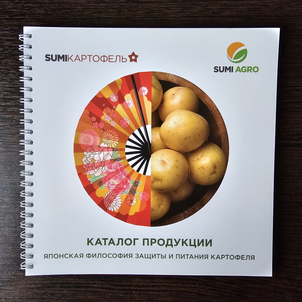 Фото книги на пружине из портфолио