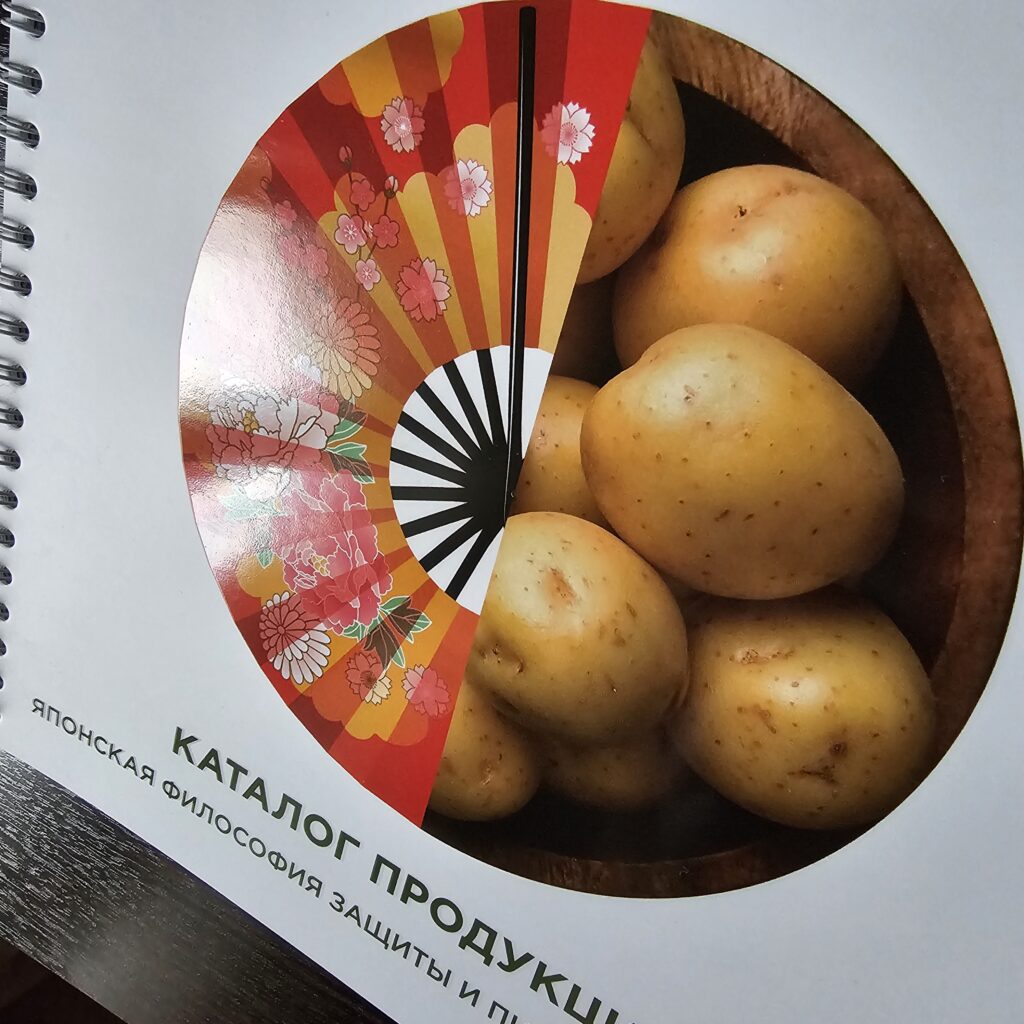 Фото книги на пружине из портфолио