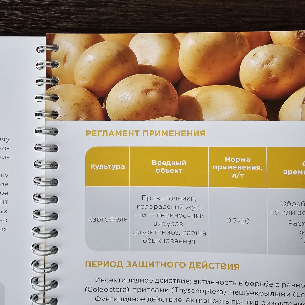 Фото книги на пружине из портфолио