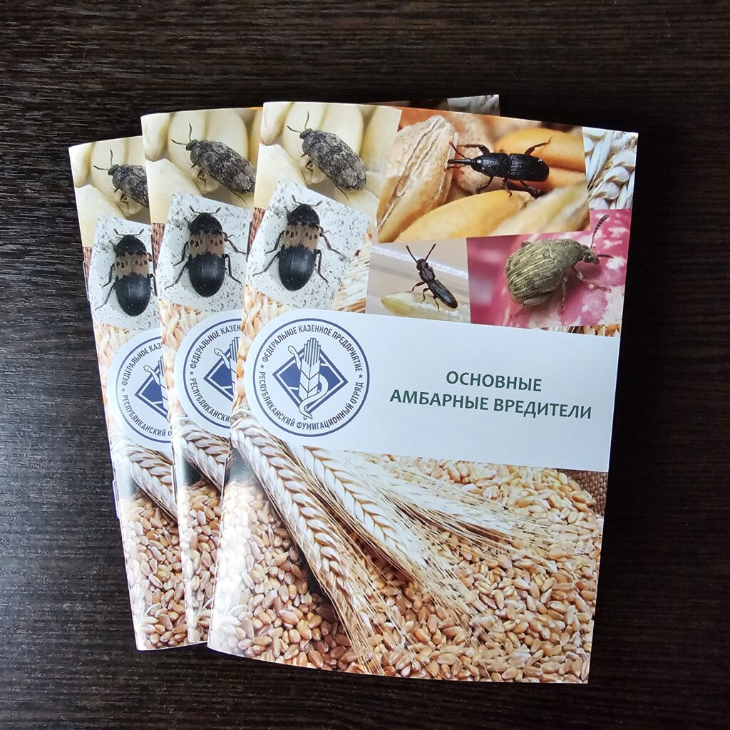 Фото книги формата А5 в мягкой обложке из портфолио