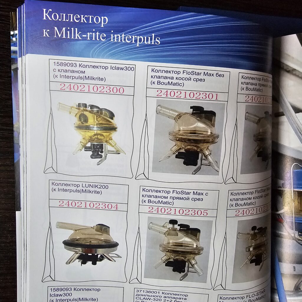 Фото книги в мягкой обложке из портфолио