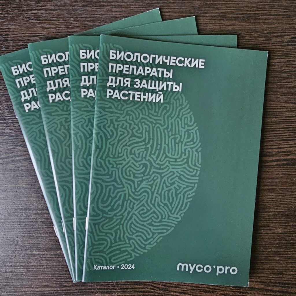 Фото книги в мягкой обложке из портфолио