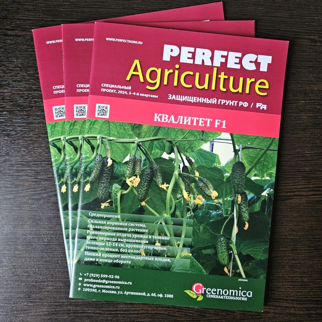Фото книги в мягкой обложке из портфолио