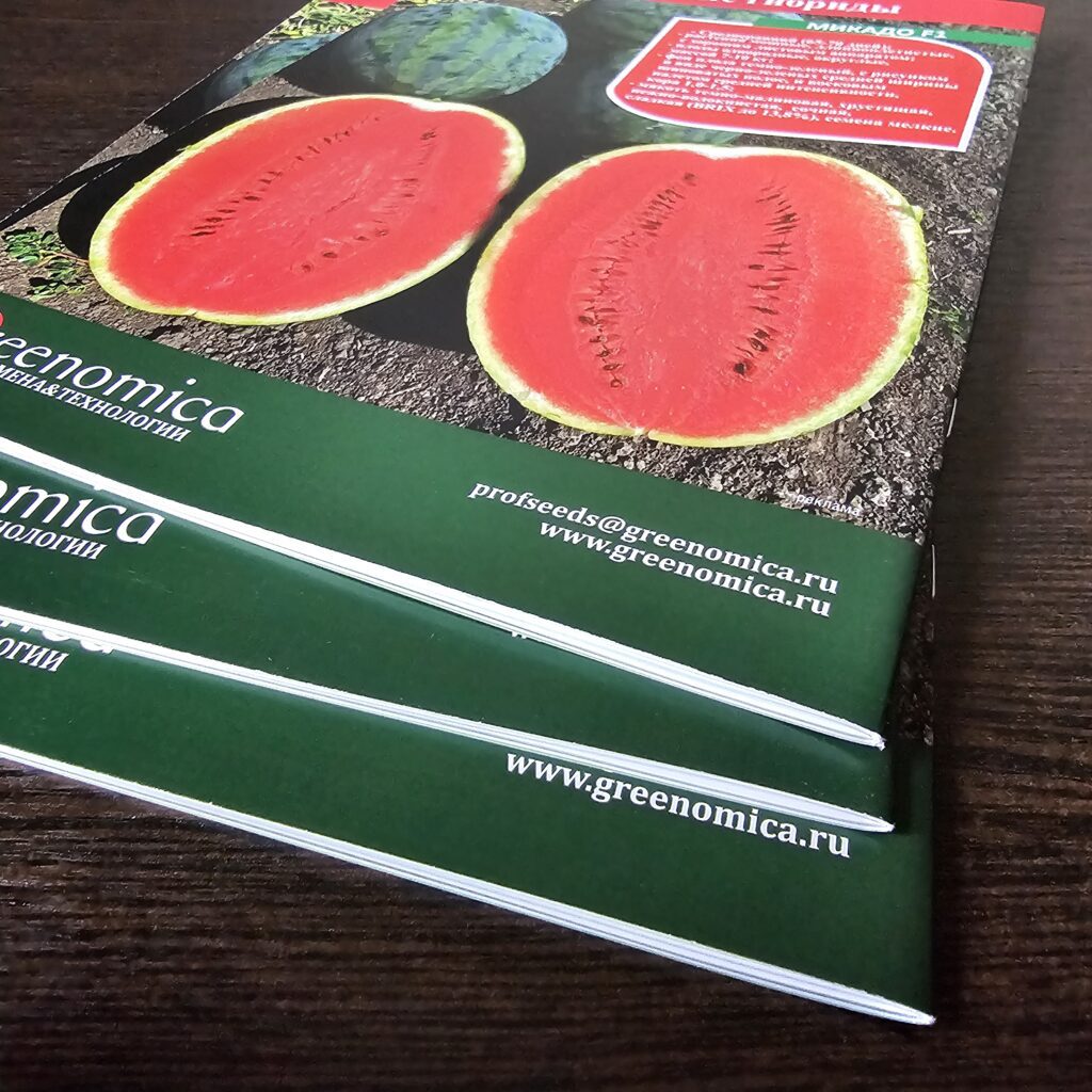 Фото книги в мягкой обложке из портфолио
