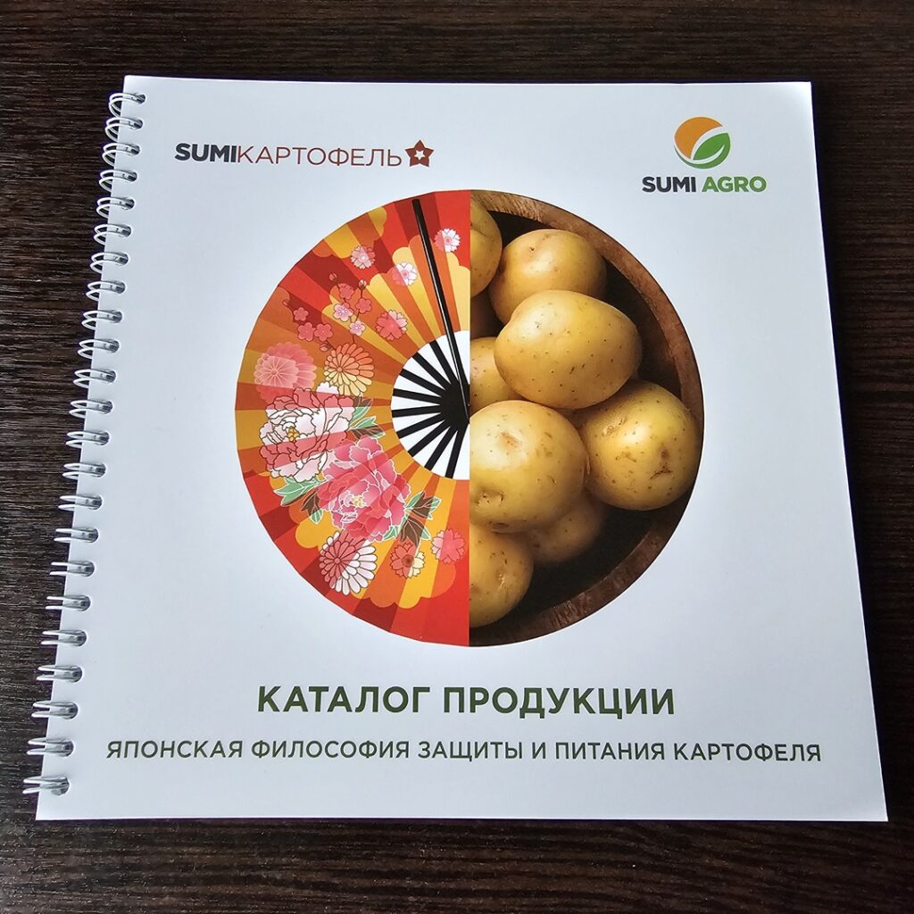 Фото журнала/каталога из портфолио