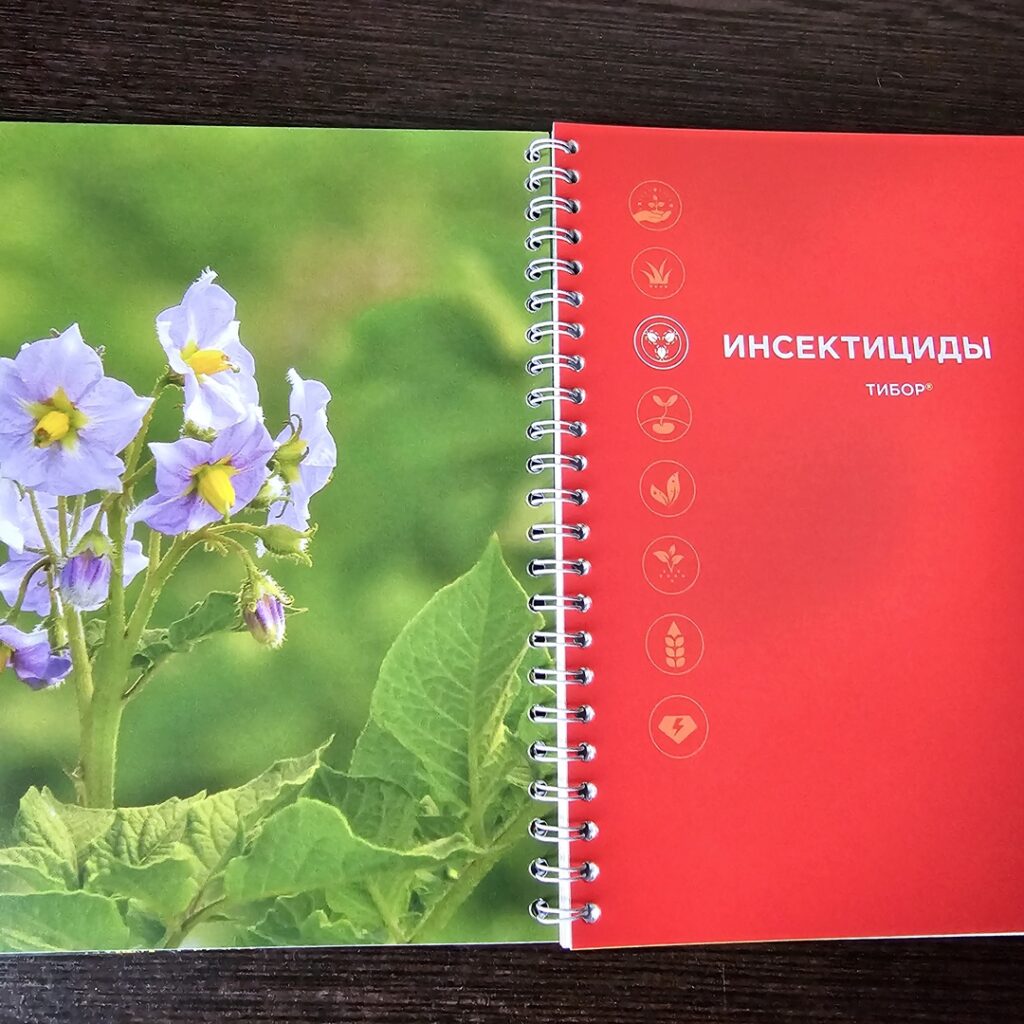 Фото журнала/каталога из портфолио